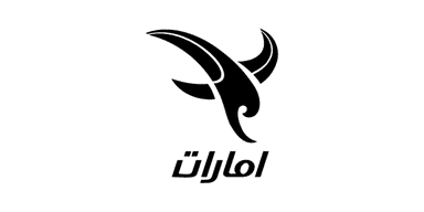 Icon 8